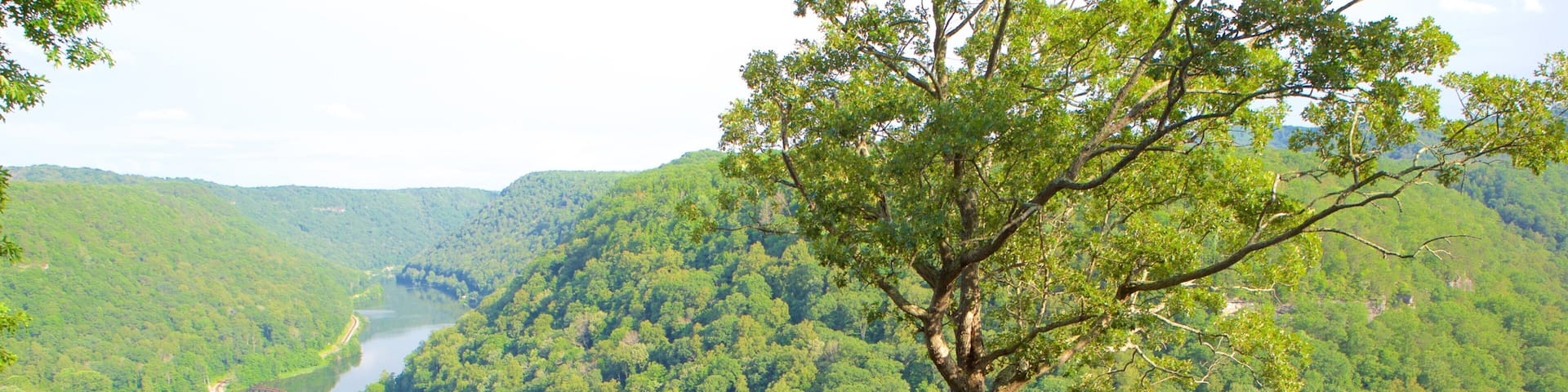 A stone staircase leading to a viewpoint overlooking a river and forested hills.