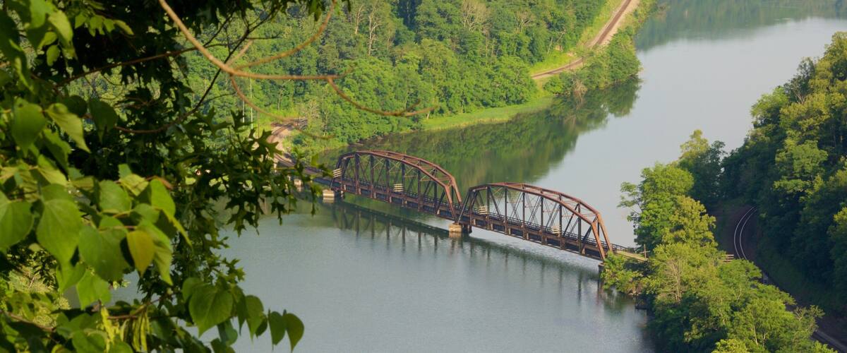 A steel bridge over a calm river, surrounded by dense green forest.