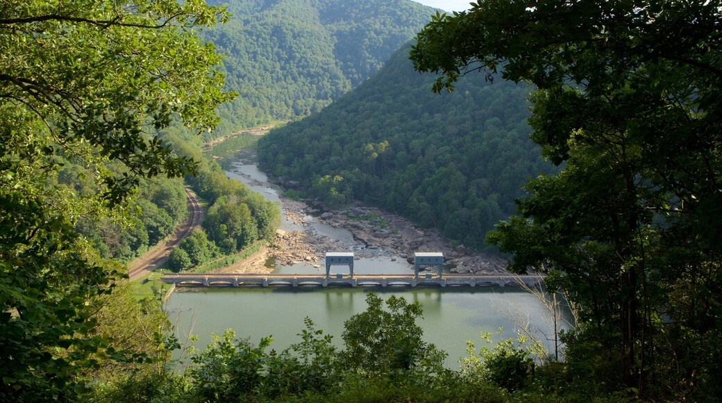 Hawks Nest delstatspark fasiliteter samt bro, elv eller bekk og rolig landskap