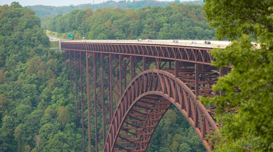 New River Gorge Bridge featuring a bridge, tranquil scenes and a gorge or canyon