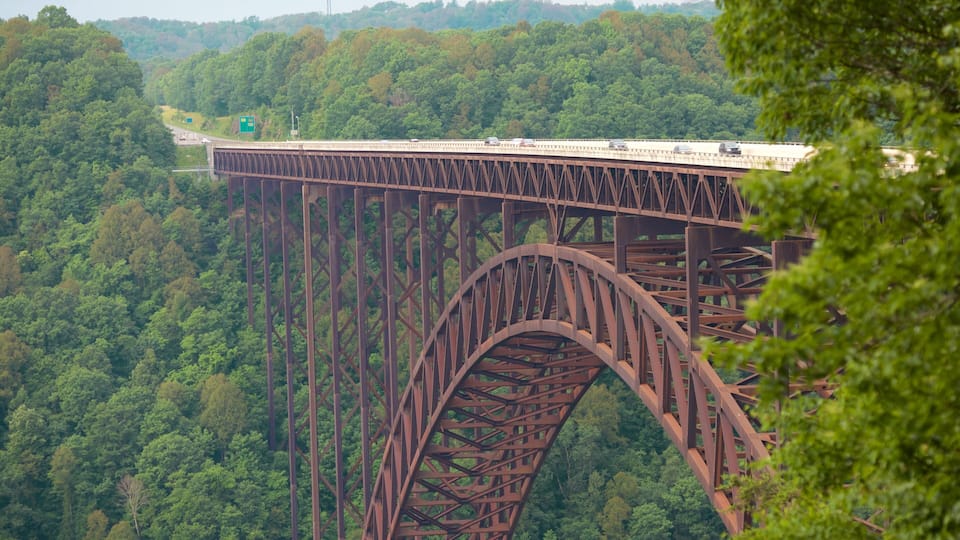 A large steel bridge spanning a deep gorge with dense forest on either side.