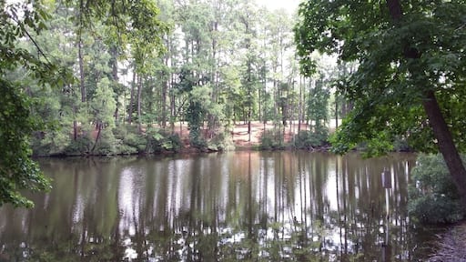 Elder lake... gravel trail all the way around. Great for running, walking, and biking. Pets are welcome, and there is a covered pavilion with benches and tables for reading.