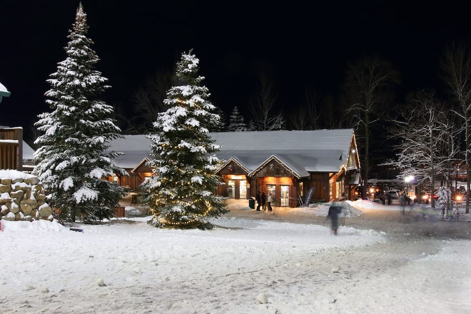 A snow-covered landscape with a wooden lodge and Christmas trees.