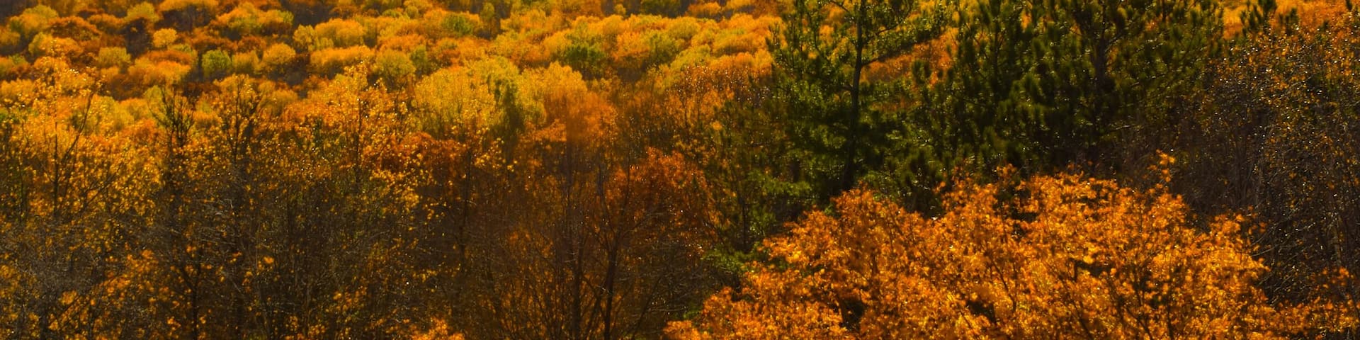 #adventure
Climbing to the top of this parks tower near sunset will give you this view