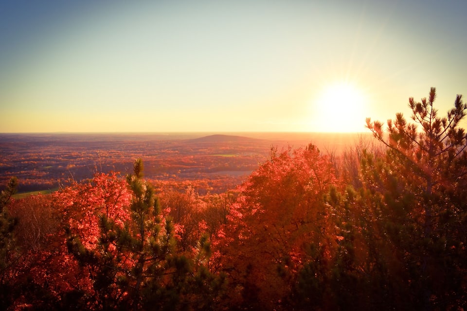 Ein Sonnenuntergang über einer bewaldeten Landschaft, mit freier Sicht bis zum Horizont.