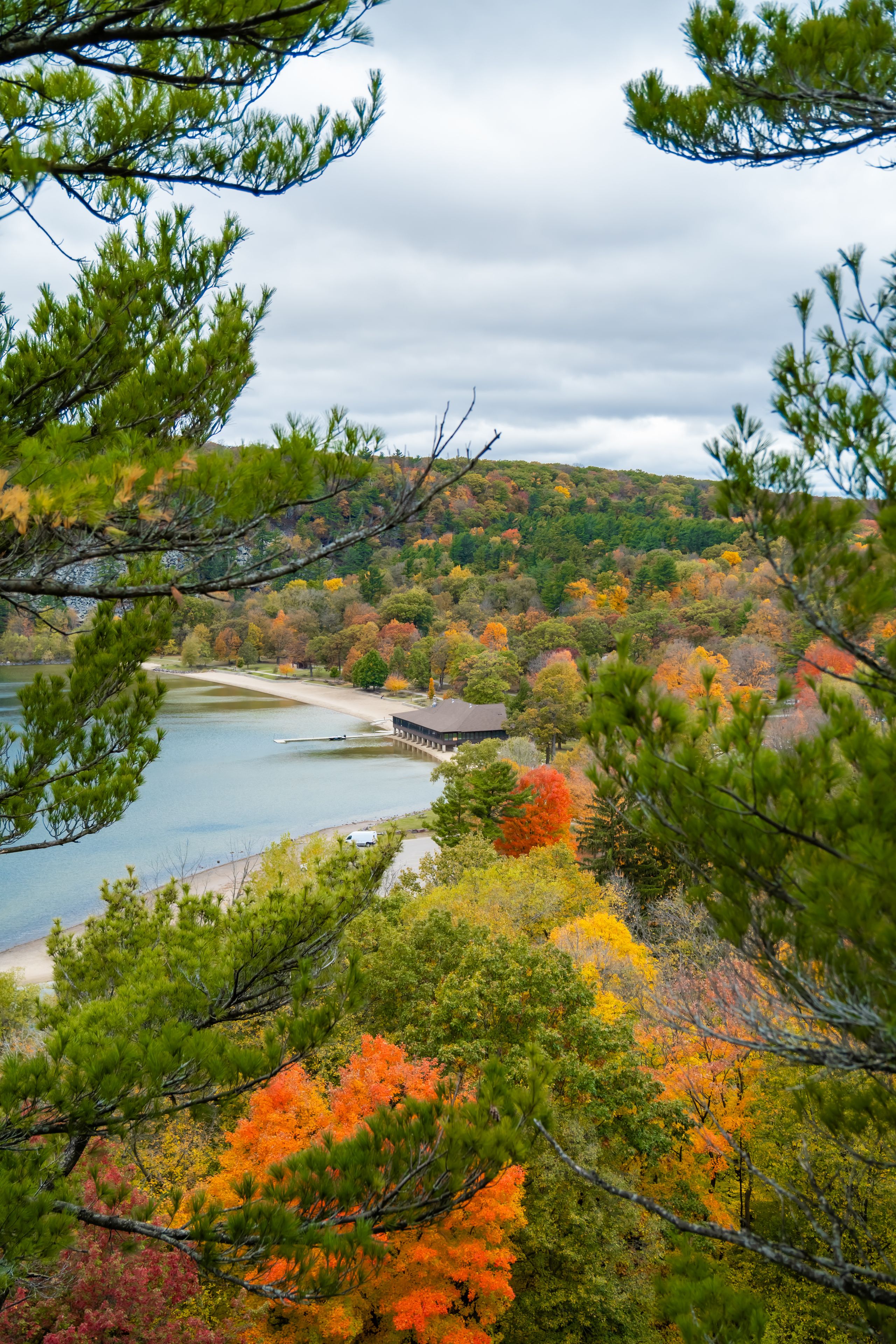Scraggy Pine Trees Growing from Quartzite Cliffs Overlooking the Blue Water of Devil's Lake in Baraboo Wisconsin