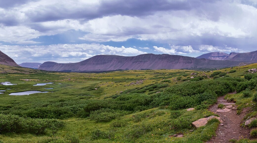 Bosque Nacional Ashley