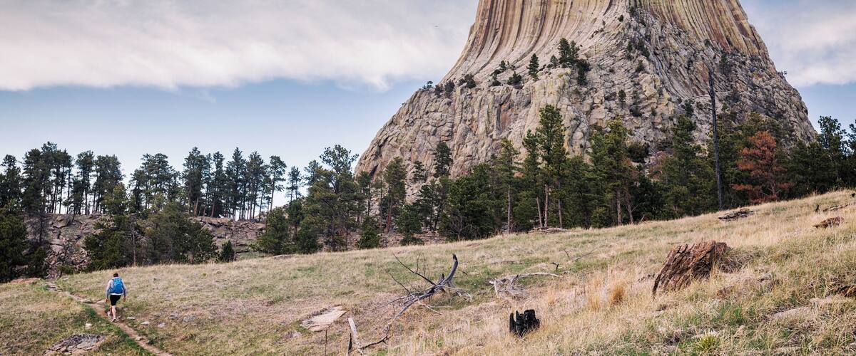Jack and the Petrified tree stump. #Adventure