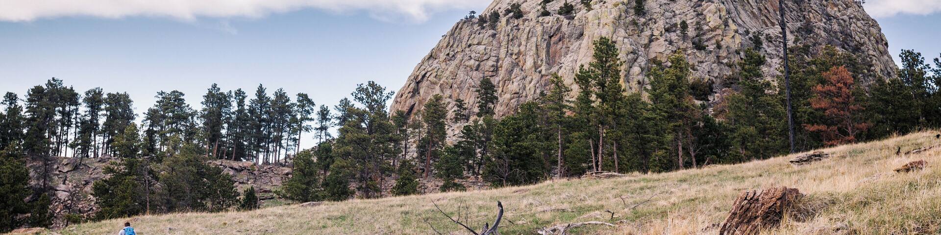 Jack and the Petrified tree stump. #Adventure