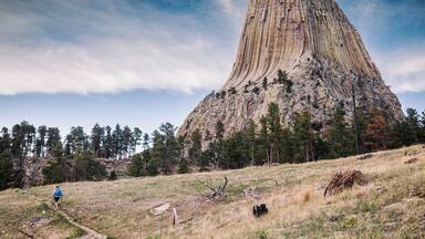 Jack and the Petrified tree stump. #Adventure