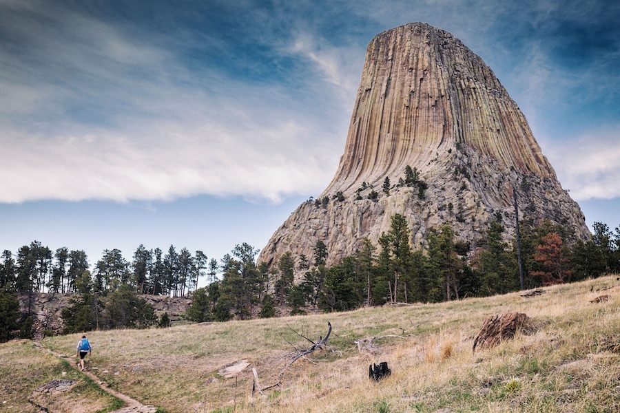 Jack and the Petrified tree stump. #Adventure
