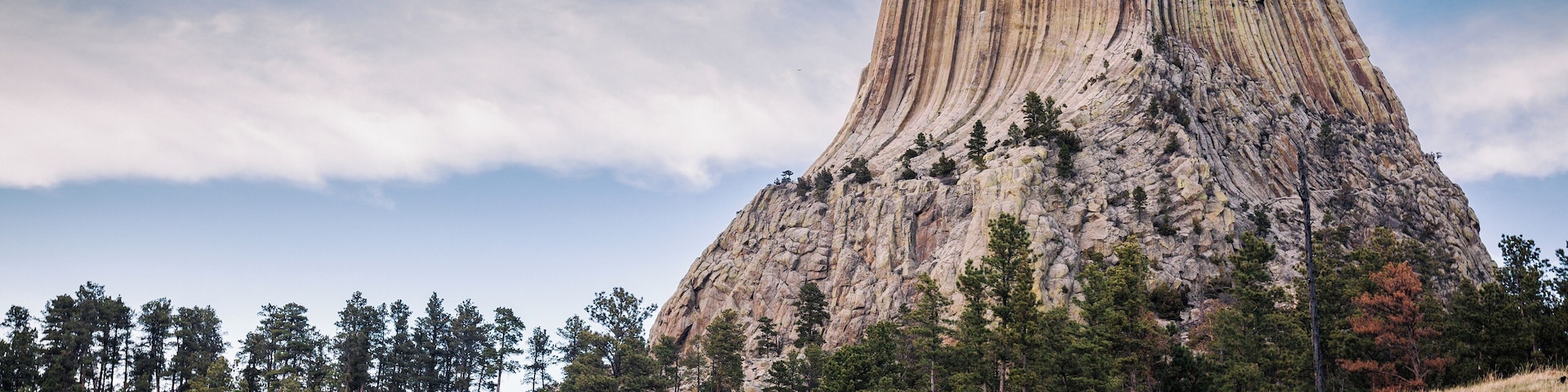 Jack and the Petrified tree stump. #Adventure