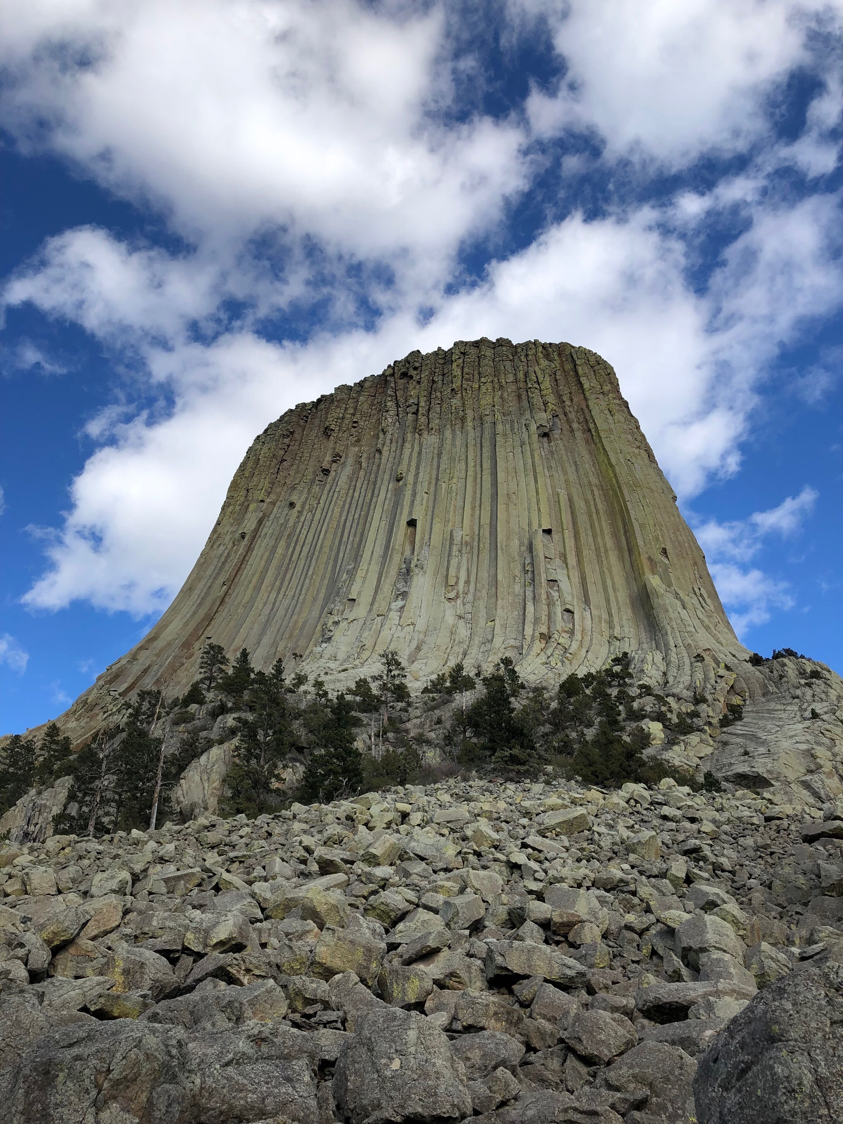Devils Tower National Monument in all of it’s glory. This is such an interesting place to visit. Be sure to walk the 1.3 mile trail around the base. 