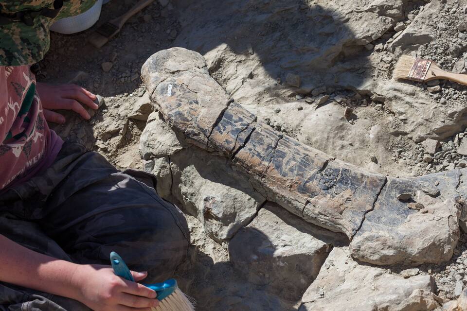 A person examining a large, patterned stone slab in a rocky outdoor setting.