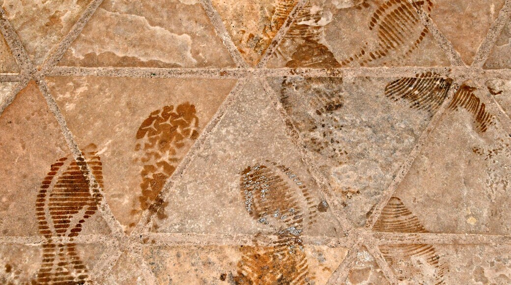 Fossil Butte kansallinen monumentti