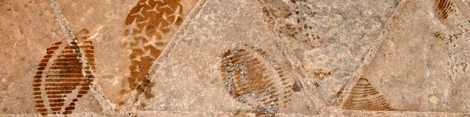 Wet shoe prints at the entrance of Fossil Butte National Monument Museum, Wyoming. In future fossil record, The age of the tennis shoe