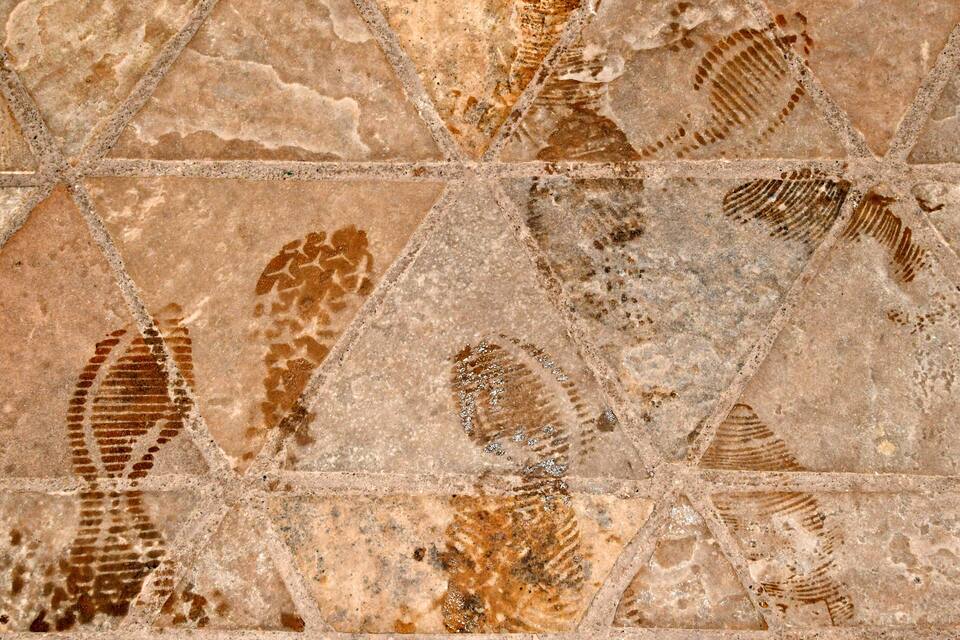 A mosaic with fossil imprints.