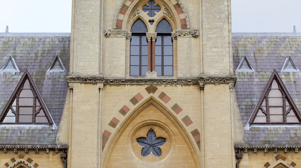 オックスフォード大学自然史博物館 どの含み 遺跡・遺産