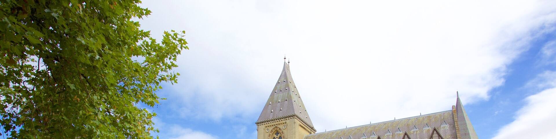 Oxford University Museum of Natural History caratteristiche di oggetti d\'epoca, architettura d\'epoca e parco