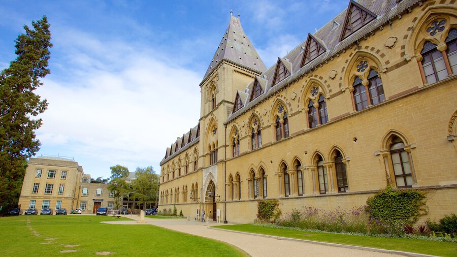 Oxford University Museum of Natural History featuring heritage architecture, heritage elements and a park