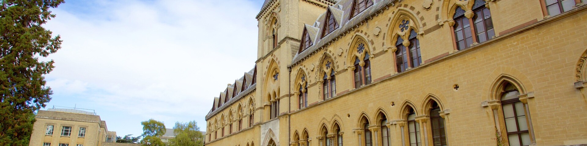 Bảo tàng Lịch sử Tự nhiên Đại học Oxford trong đó bao gồm di sản, kiến trúc di sản và khu vườn