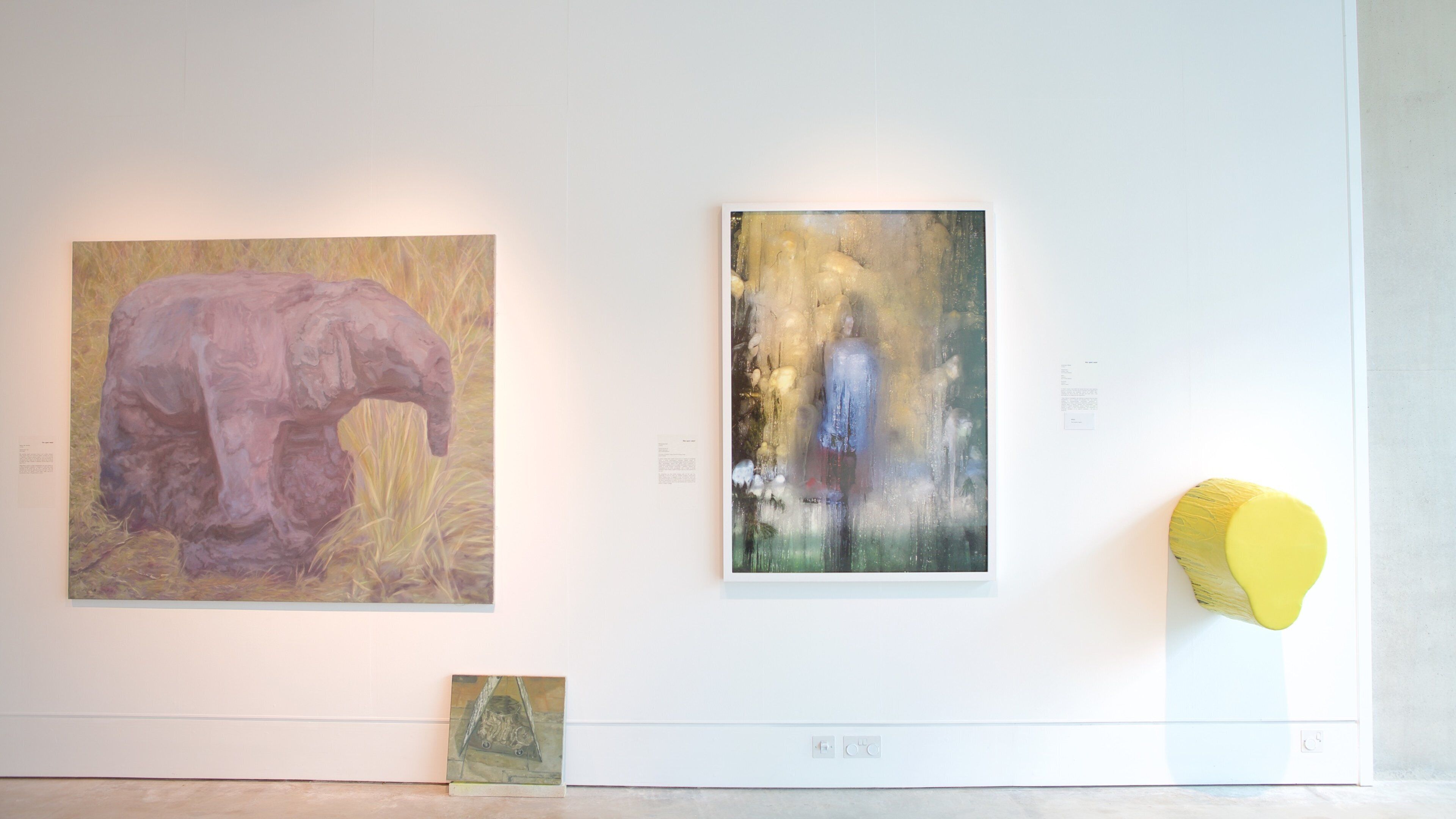 Cheltenham Art Gallery and Museum qui includes art et vues intérieures