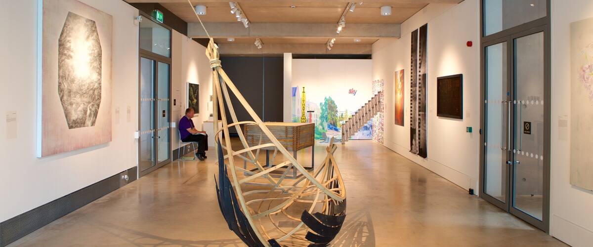 Cheltenham Art Gallery and Museum montrant art et vues intérieures