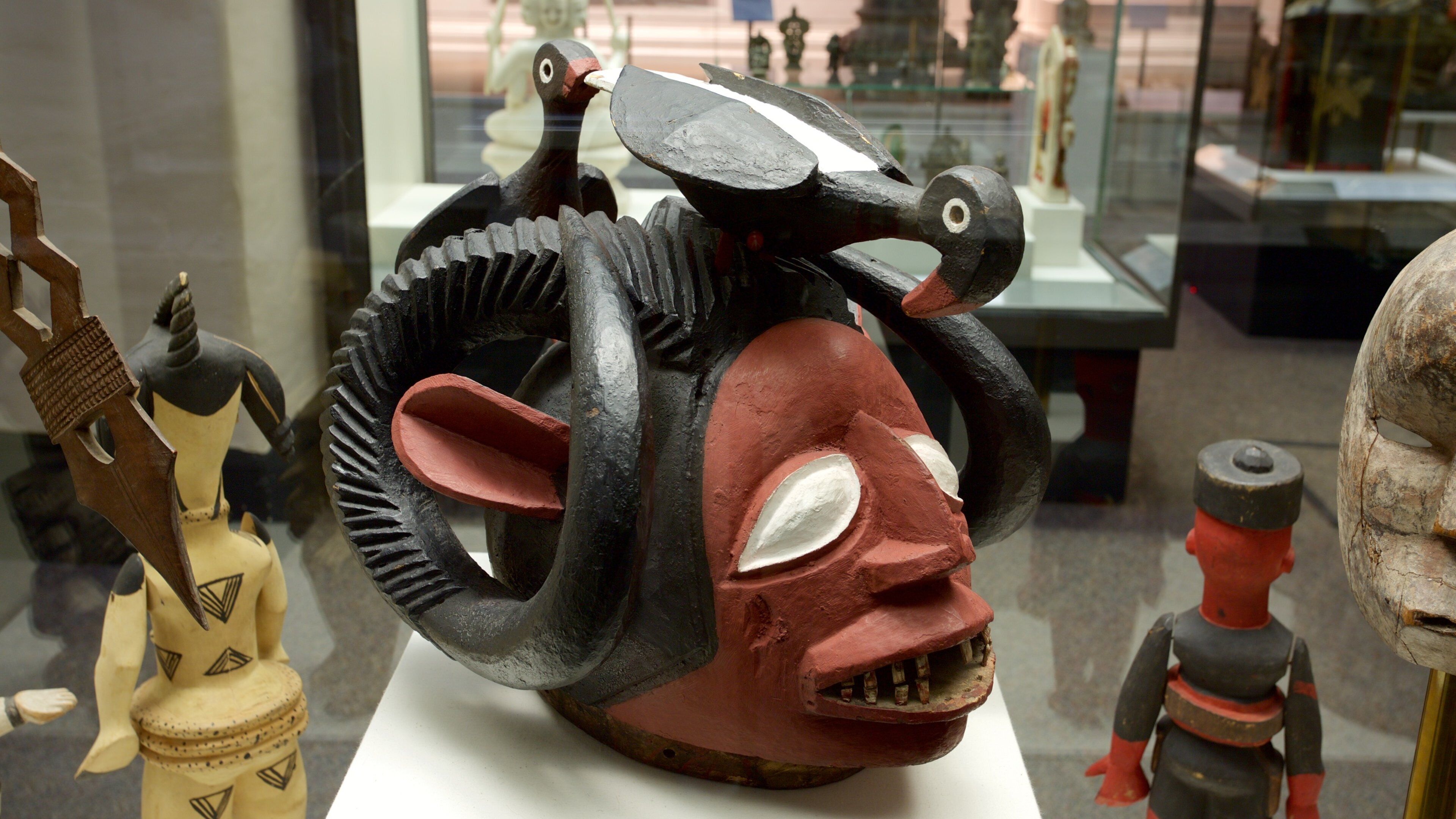 Royal Albert Museum & Art Gallery