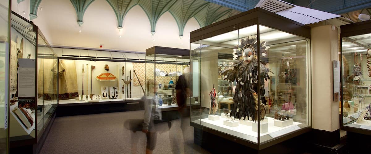 Royal Albert Museum and Gallery featuring interior views