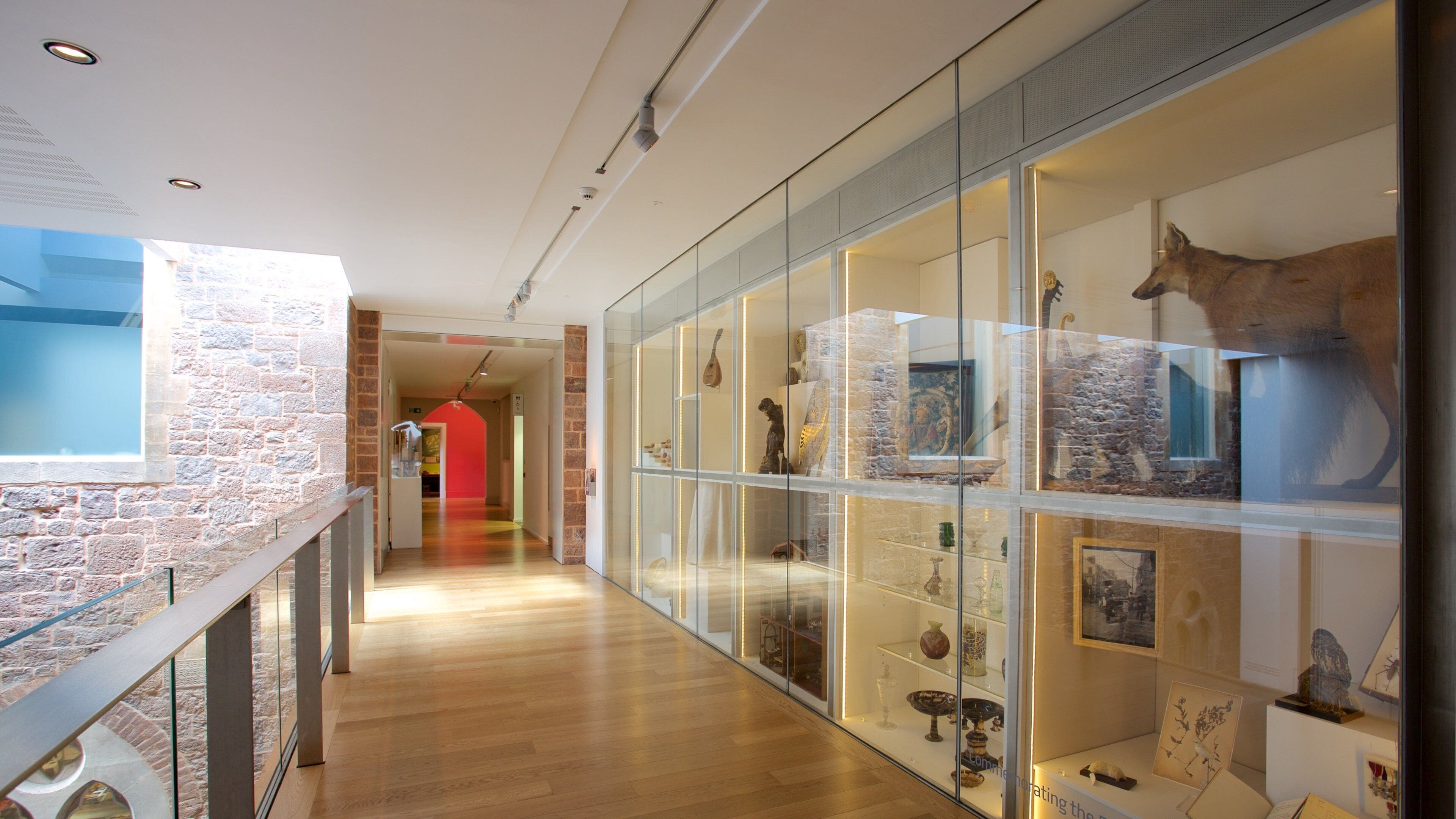 Royal Albert Museum and Gallery qui includes scènes intérieures