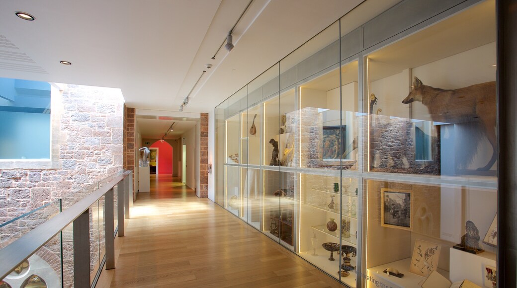 Royal Albert Museum and Gallery qui includes scènes intérieures