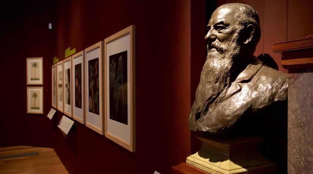 Royal Albert Memorial Museum and Art Gallery