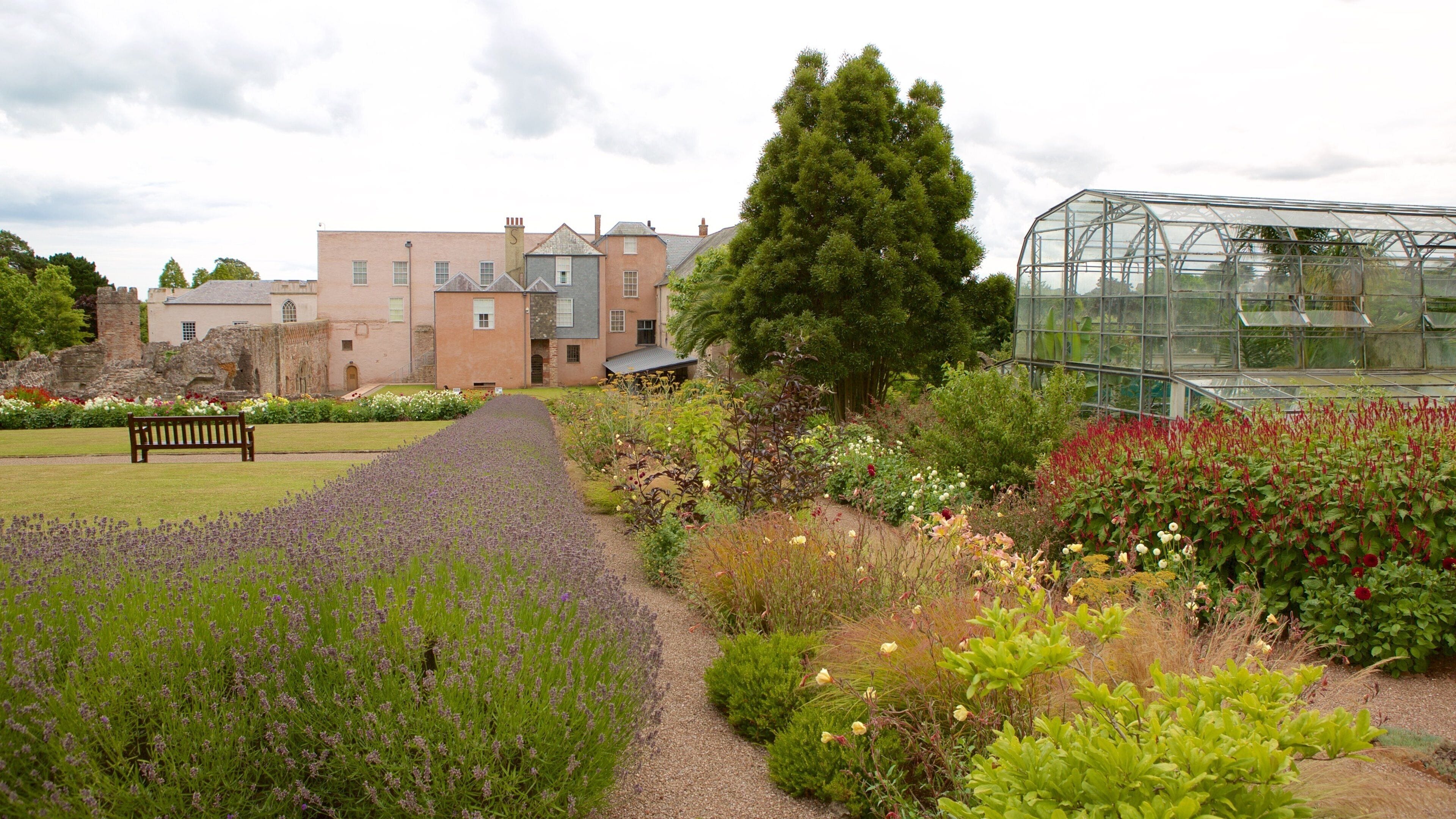Torre Abbey som inkluderer park, blomster og historisk arkitektur