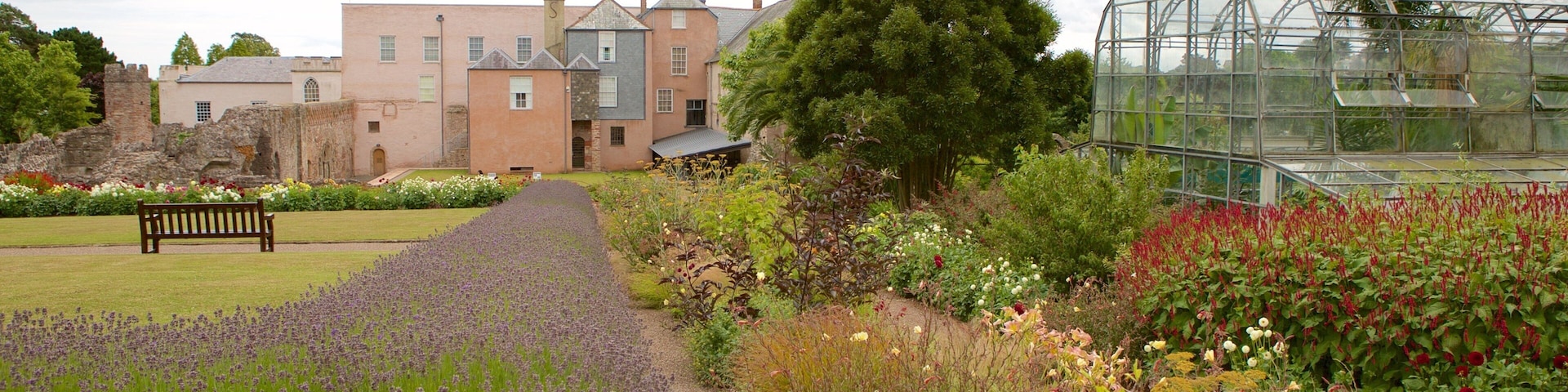 Torre Abbey que inclui flores, um parque e arquitetura de patrimônio