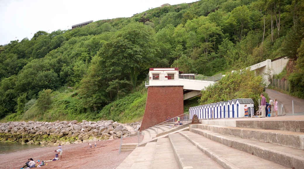 Babbacombe 海灘 呈现出 一般的海岸景觀 和 森林