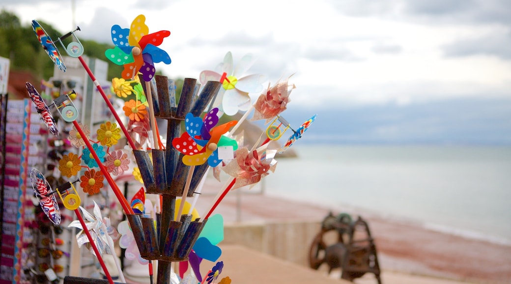 Babbacombe 海灘 呈现出 海灘 和 藝術