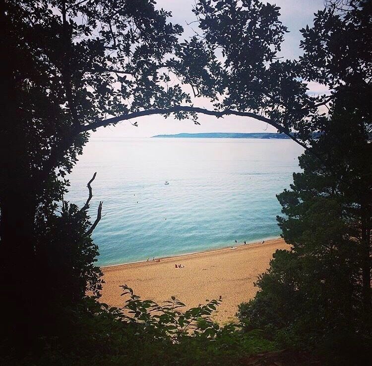 On the walk down to Blackpool Sands 
