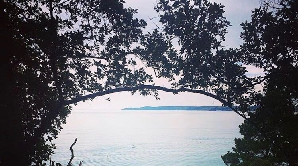 On the walk down to Blackpool Sands