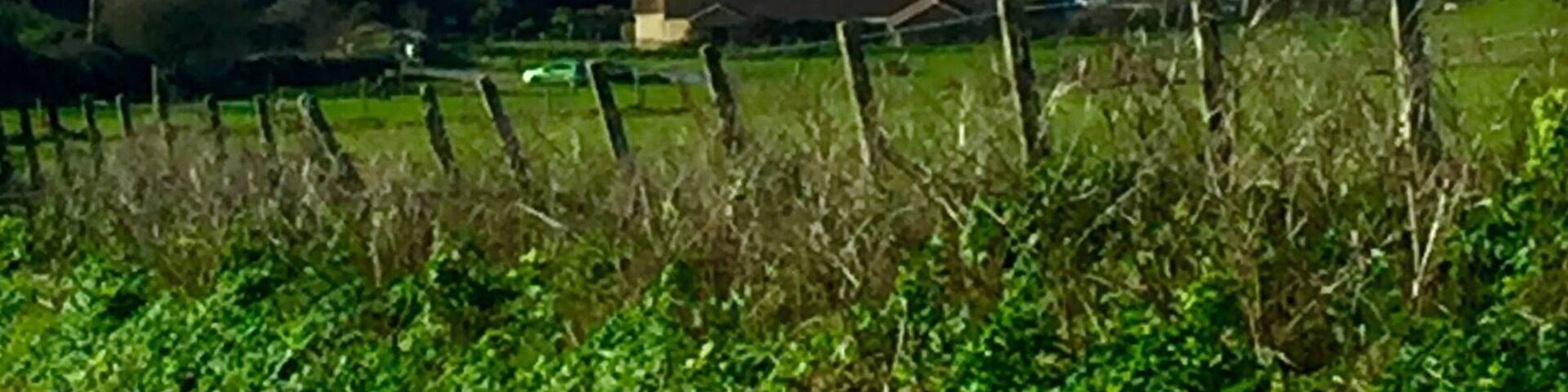 A beautiful 26 acre private island in Devon England overlooking Bigbury on Sea. When the tide is out access provided by Land Rovers and when the tide is in sea tractors!
Great place for lunch .
#Green
#England #Devon #UK