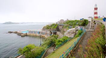 Smeatons Tower showing general coastal views, a lighthouse and a coastal town