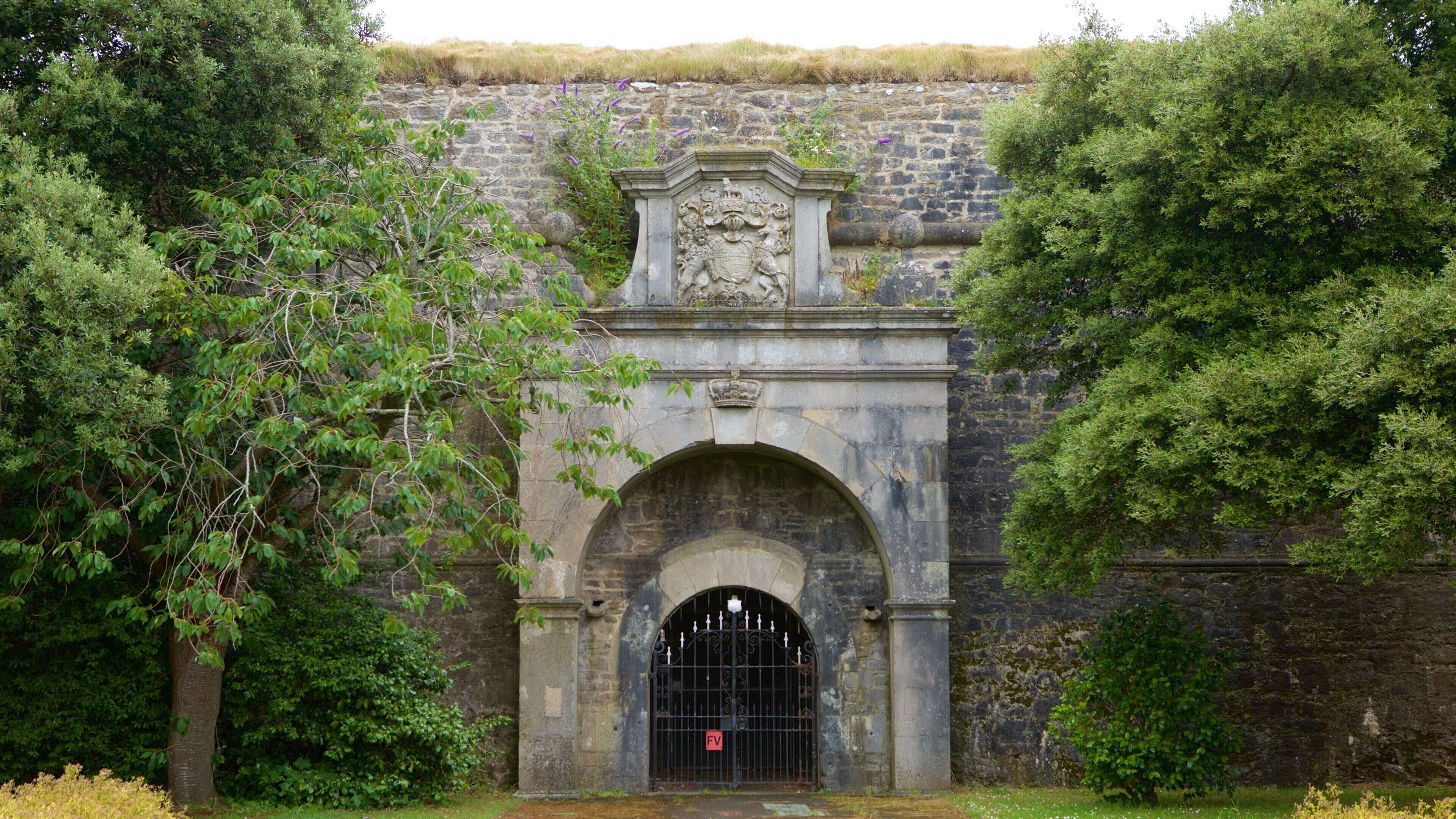 Royal Citadel showing chateau or palace