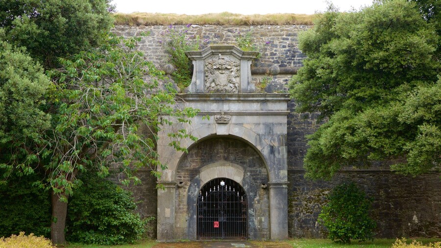 Royal Citadel showing chateau or palace
