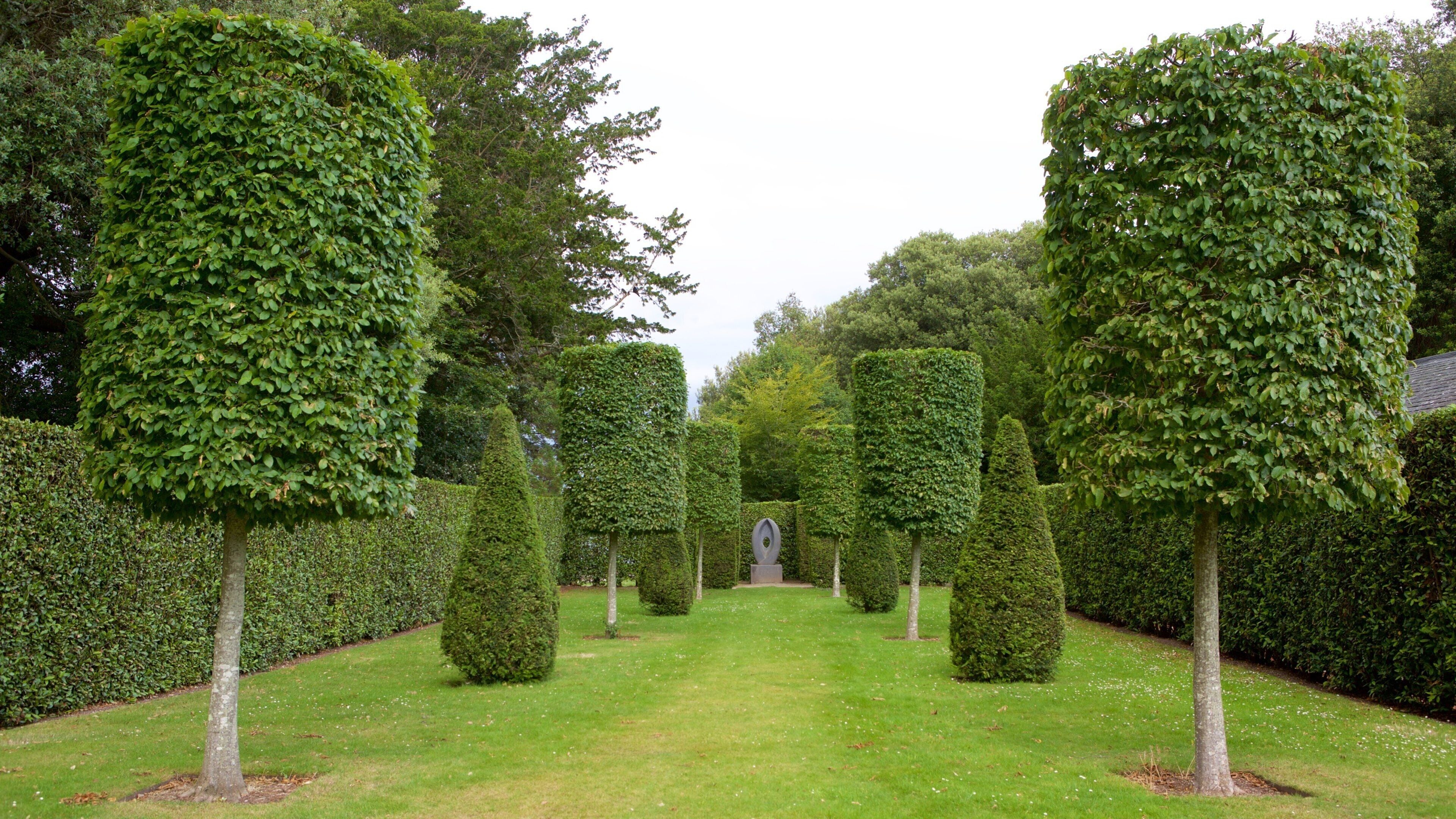 Mount Edgcumbe House and Country Park featuring a park
