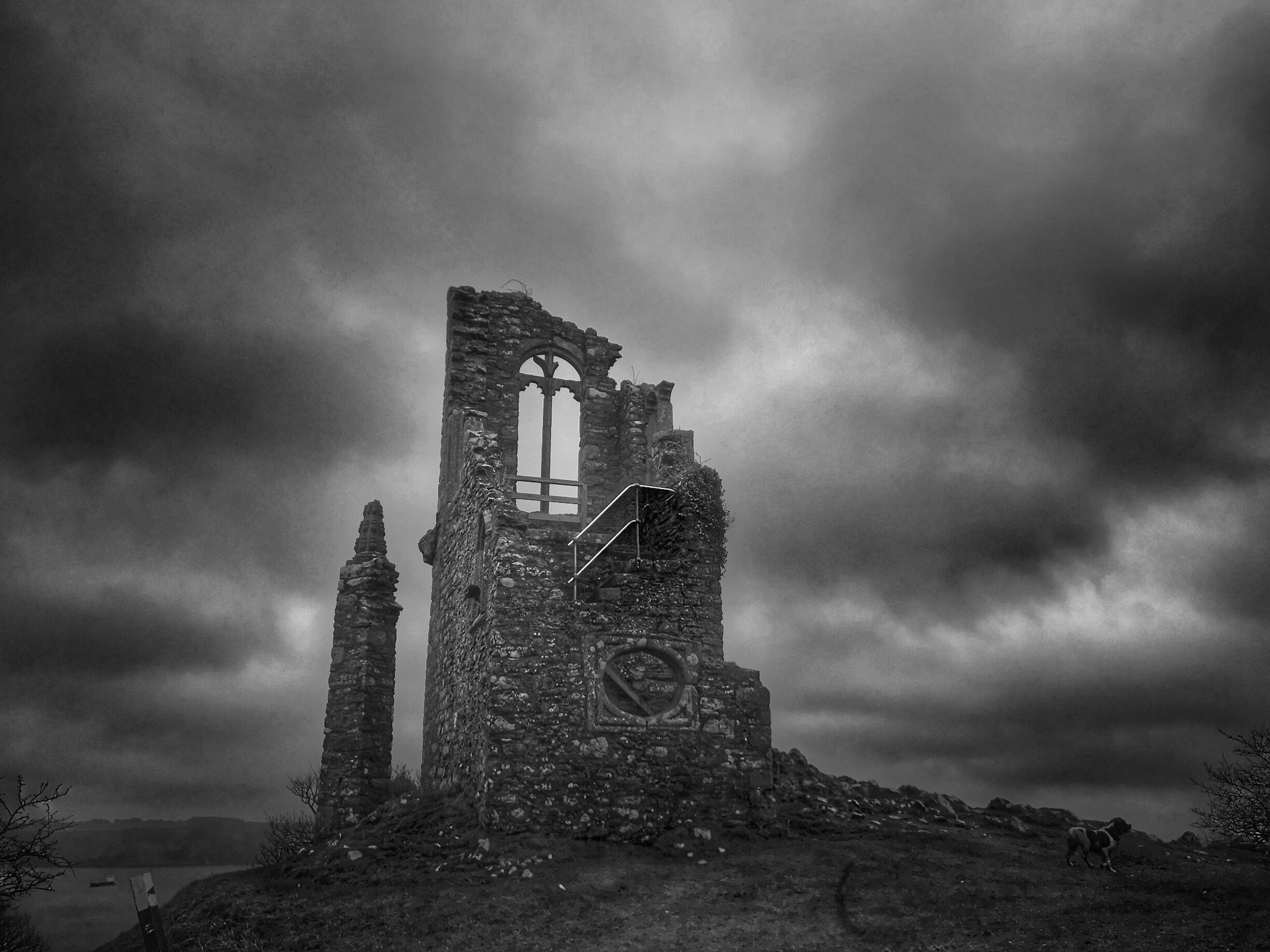 Old remains of a church here at Mount Edgcumbe. The gloominess of the day was perfect for the photo. 
