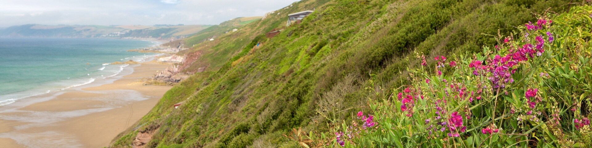 Whitsand Bay Beach which includes flowers and a sandy beach