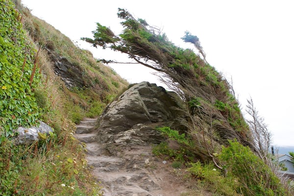 Whitsand Bay Beach das einen allgemeine Küstenansicht