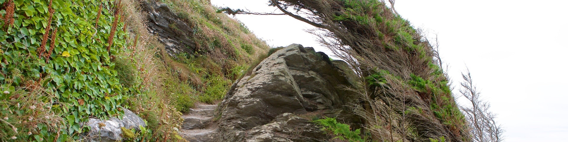 Whitsand Bay Beach featuring general coastal views