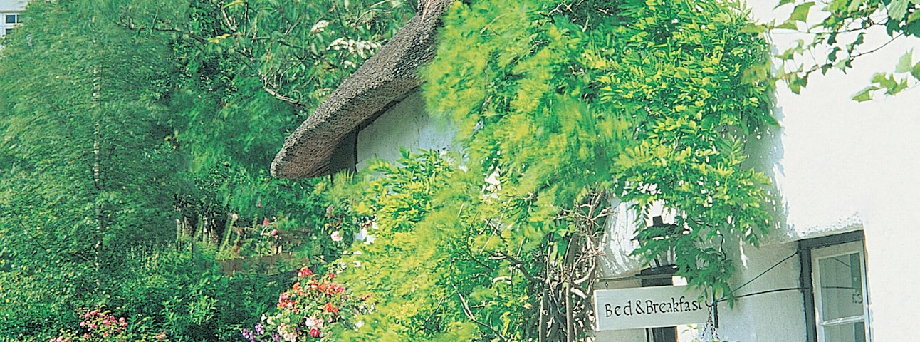 Un edificio blanco con techo de paja, rodeado de abundante vegetación y flores. Se ve una torre de piedra al fondo.