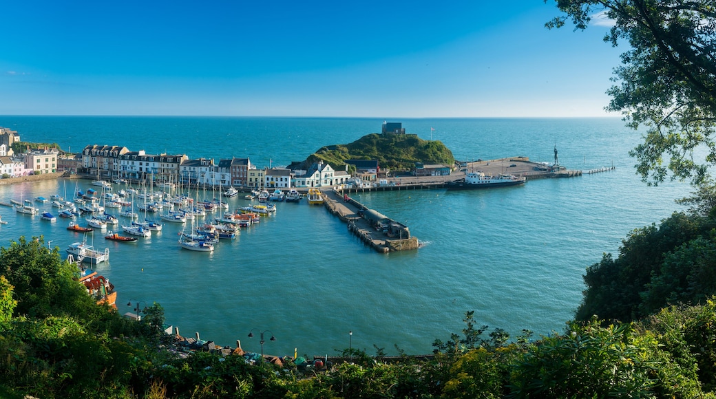 伊尔弗勒科姆港口