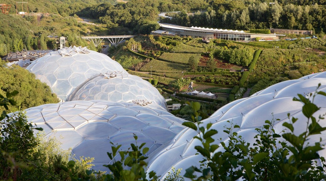 Newquay showing farmland